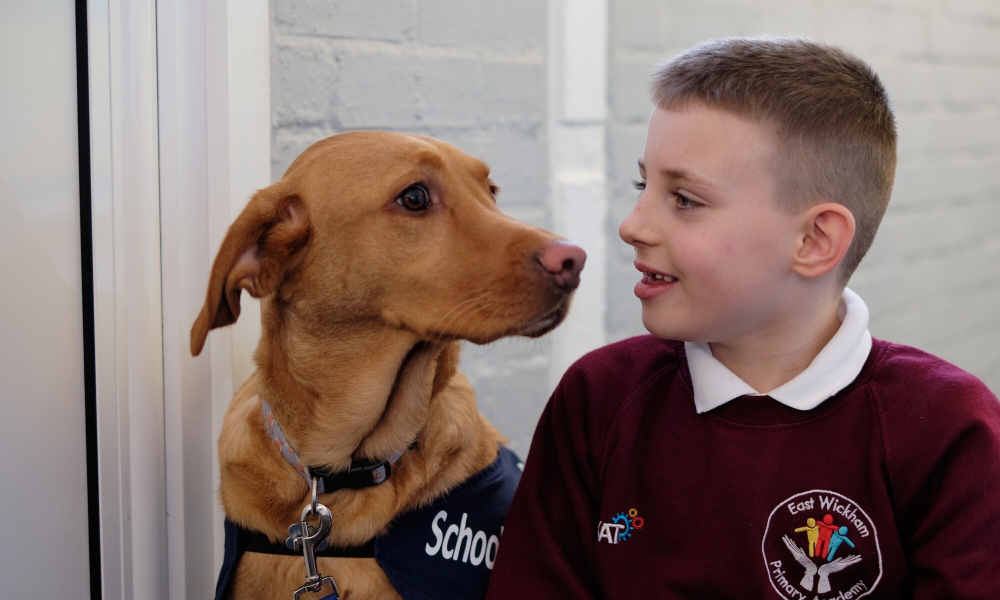 East wickham primary academy 116