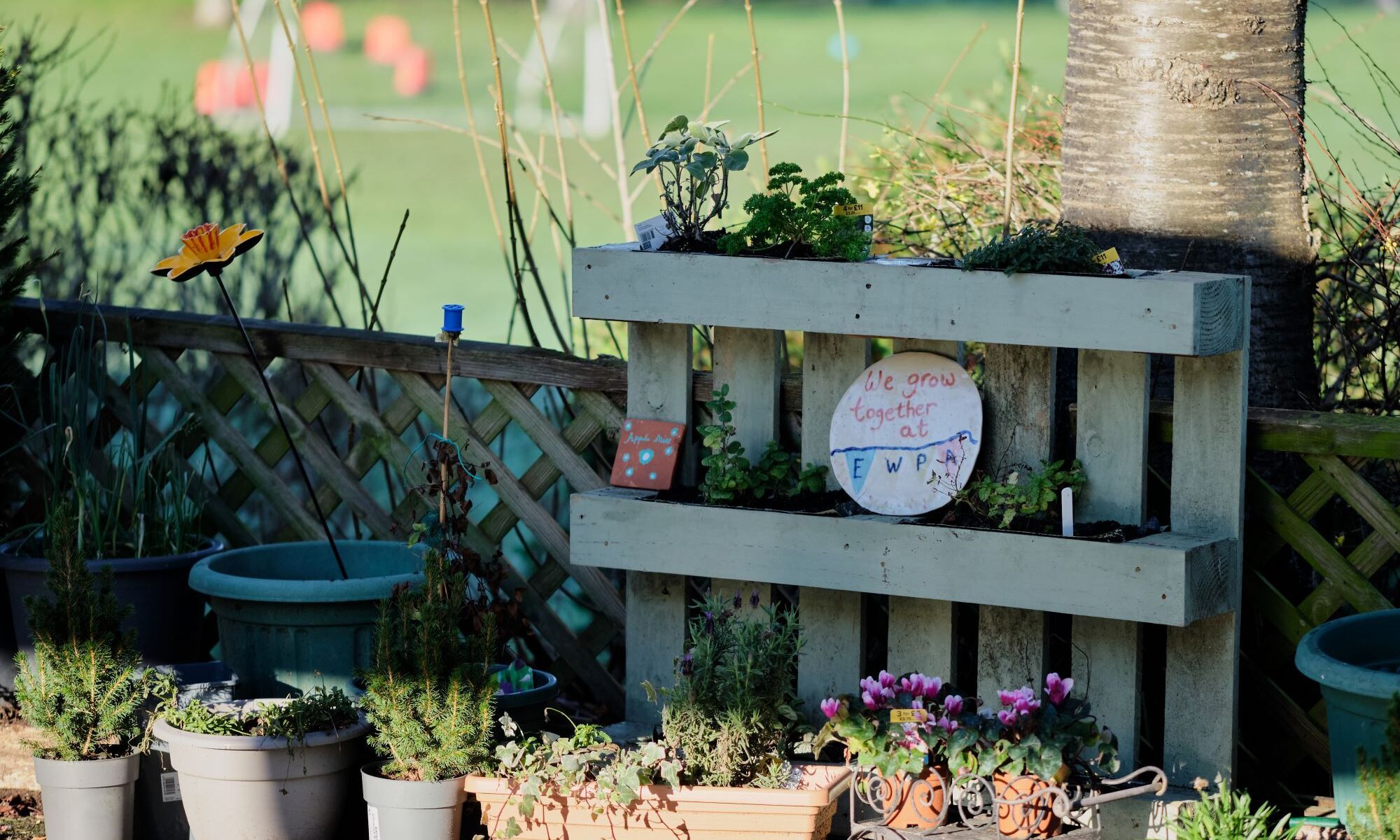 East Wickham Academy